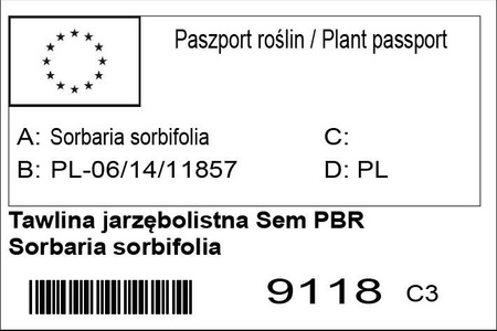 Tawlina jarzębolistna Sem PBR Sorbaria sorbifolia